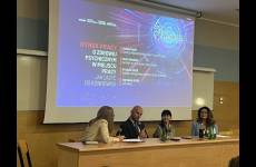 IMG_2532_original_copy_1