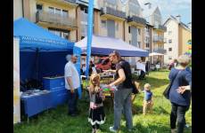 IMG_20250607_095446_original_copy_1