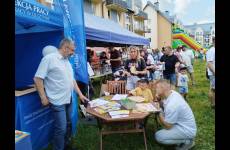 IMG_20250607_105619_original_copy_3